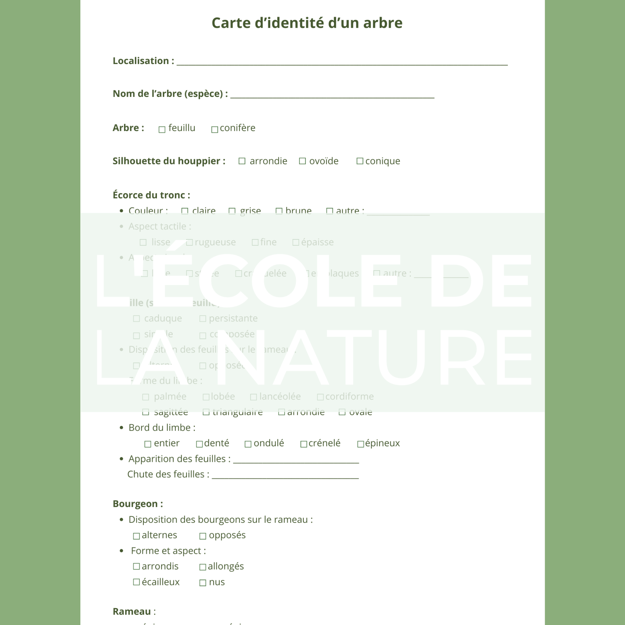 Carte d'identité d'un arbre – Image 2