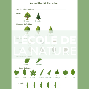 Carte d'identité d'un arbre