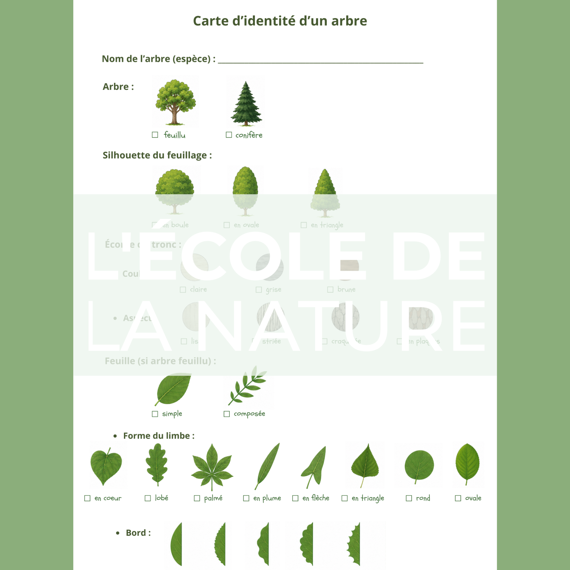 Carte d'identité d'un arbre