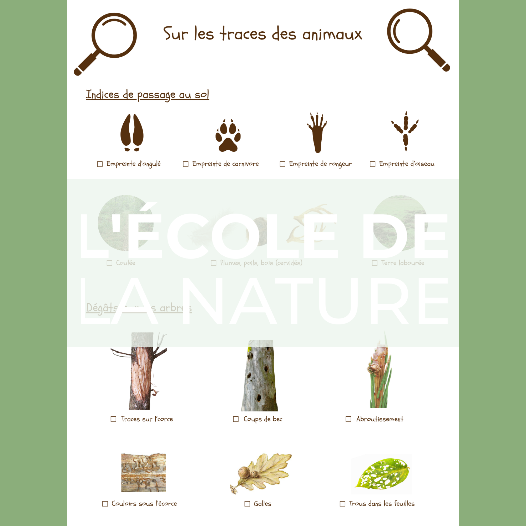 Chasse "Sur les traces des animaux"