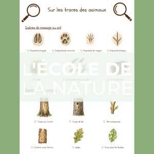 Chasse "Sur les traces des animaux"