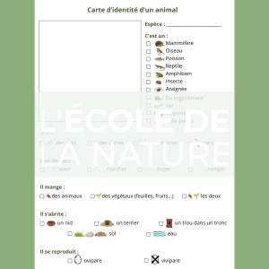 Carte d'identité d'un animal