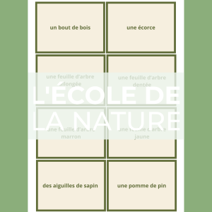 Chasse aux mots