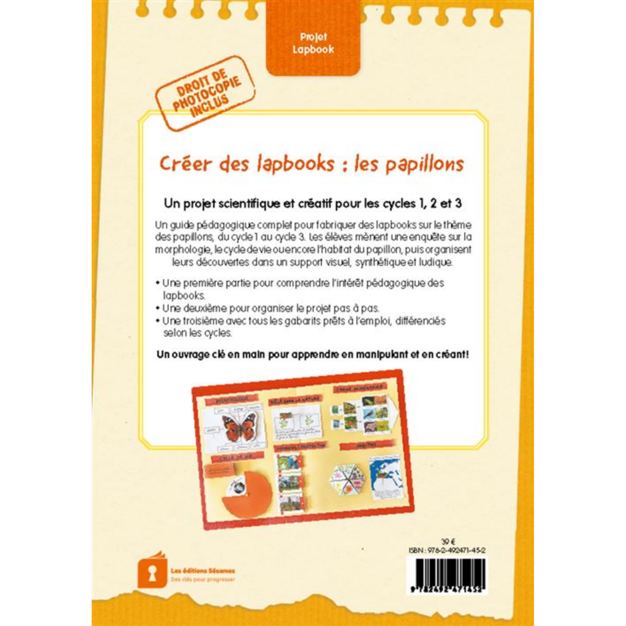 Créer des lapbooks : les papillons – Image 2
