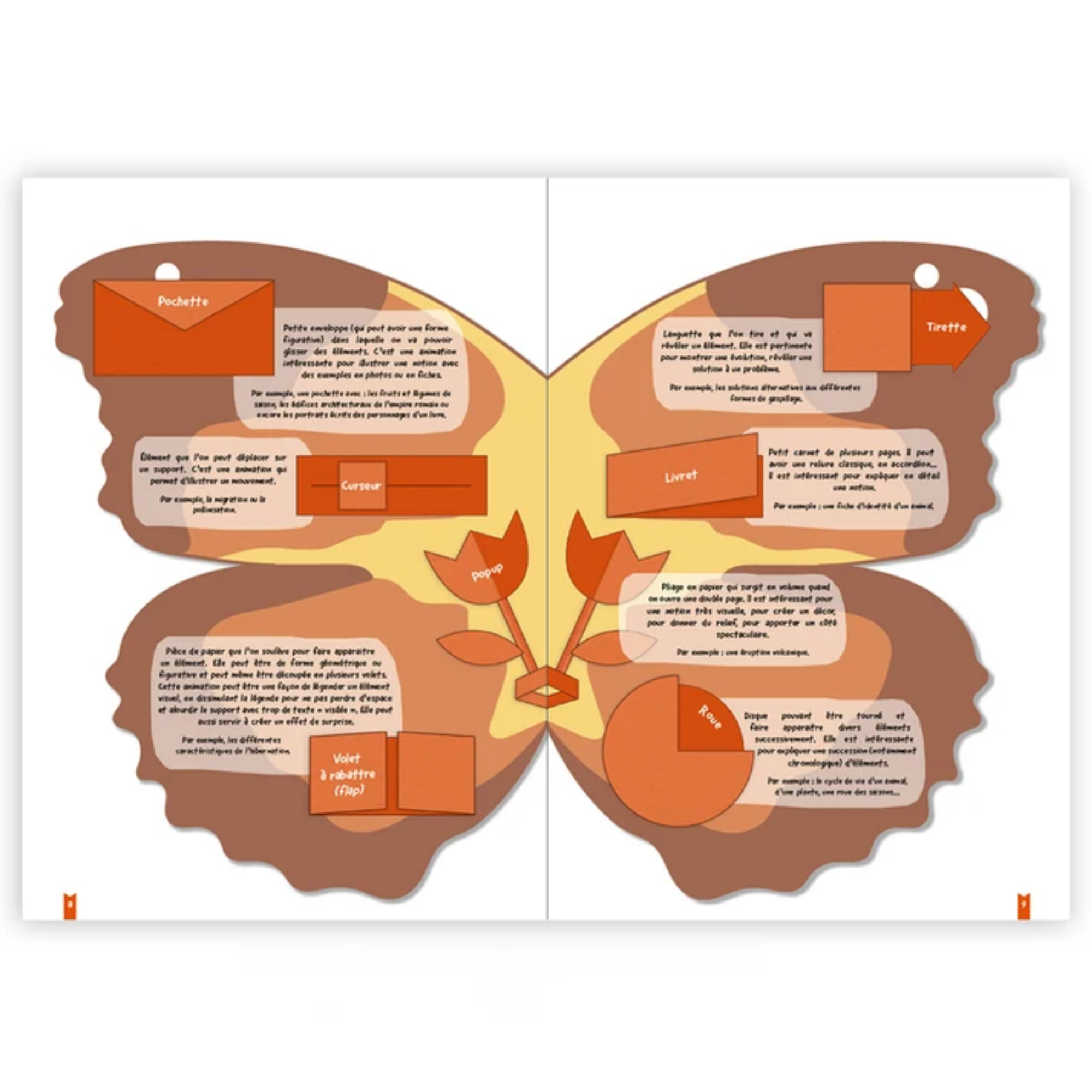 Créer des lapbooks : les papillons – Image 6