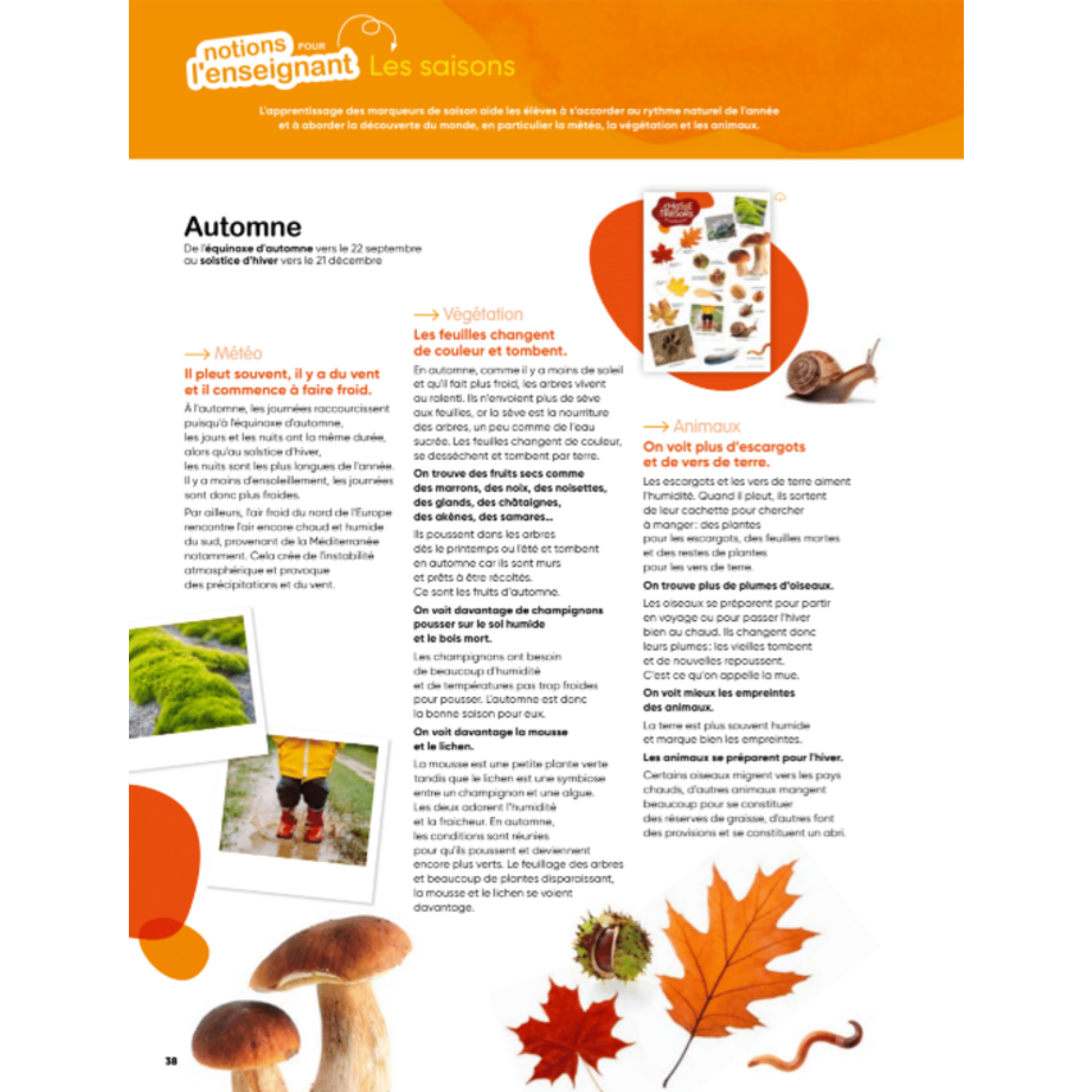 Apprendre dehors - Maternelle – Image 6